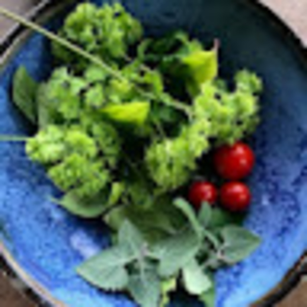 Meet your Posher, Kiera